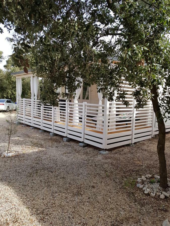 Summertime By Pearl Of The Biograd Biograd Na Moru Exterior photo